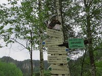 IMG 3750