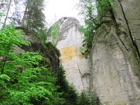 IMG 3754