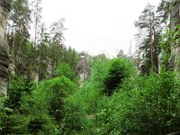 IMG 3761