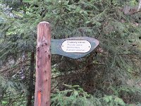 IMG 3779
