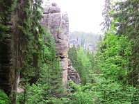 IMG 3785
