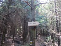 IMG 3852