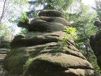 IMG 3866
