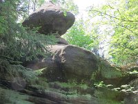IMG 3867
