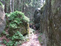 IMG 3875