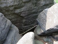 IMG 3879