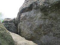 IMG 3880