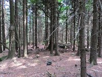 IMG 3881