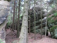 IMG 3885