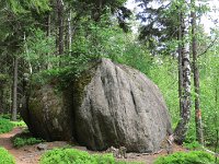 IMG 3890