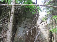 IMG 3891