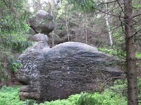 IMG 3898