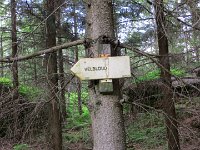 IMG 3901
