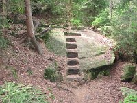 IMG 3941