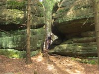 IMG 3952
