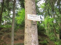IMG 3953