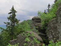IMG 3956