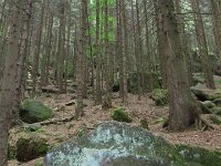 IMG 3961