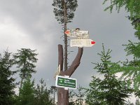IMG 3974