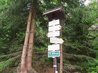 IMG 3976