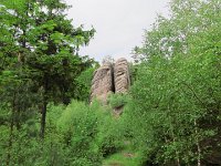 IMG 3980