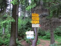 IMG 3981