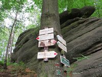 IMG 3985