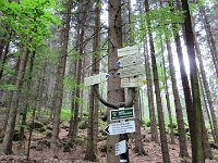 IMG 3638