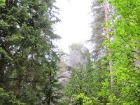 IMG 3641