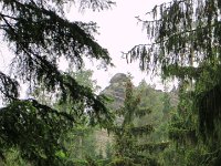 IMG 3657