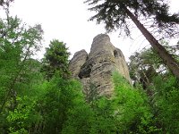 IMG 3659