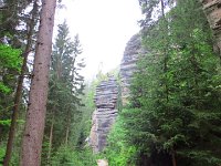 IMG 3663