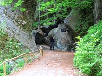 IMG 3674