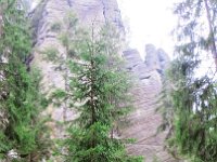 IMG 3676