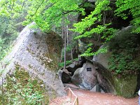IMG 3677
