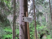 IMG 3684