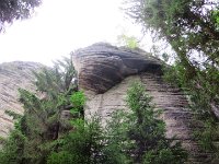 IMG 3688