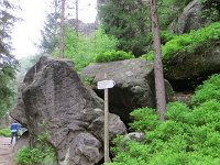 IMG 3697