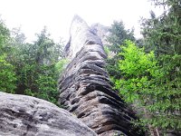 IMG 3705