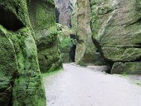 IMG 3717