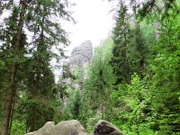 IMG 3725