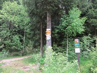 IMG 3733
