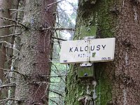 IMG 3734