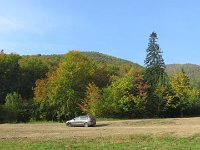 IMG 4882