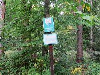 IMG 4885