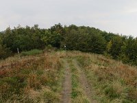 IMG 4892