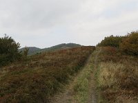 IMG 4893