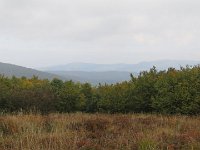 IMG 4894