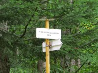 IMG 4904