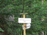 IMG 4905